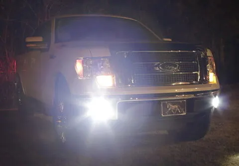 Why are my Ford F150 Fog Lights Not Working?