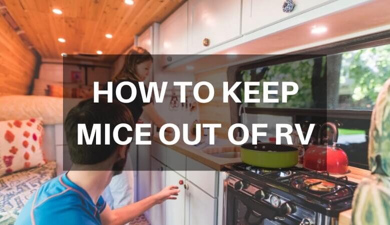 How to Keep Mice Out of RV During Winter Storage?