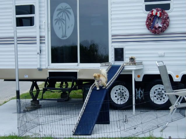 Can You Put a Dog Door in an RV?