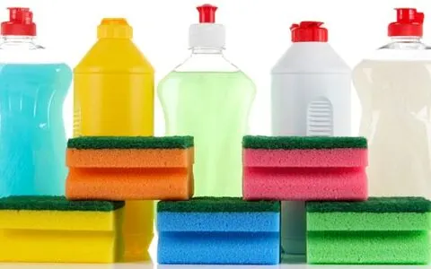 Can You Use Regular Dish Soap in an RV?
