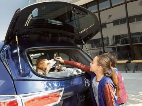 Can You Drive With the Back of an SUV Open?