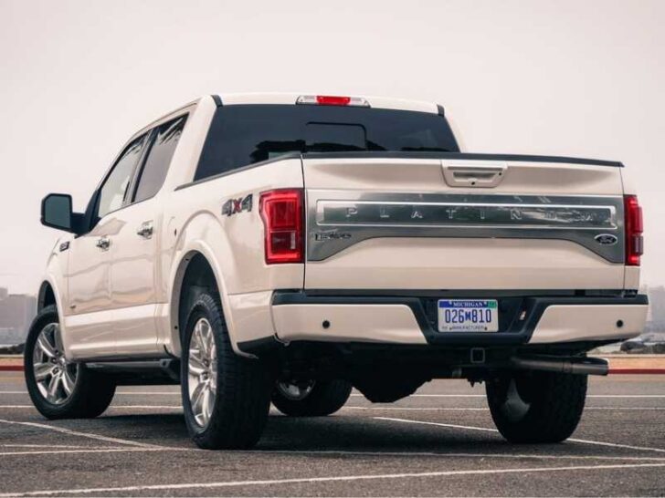 How to Remove Ford F150 Platinum Tailgate Panel?