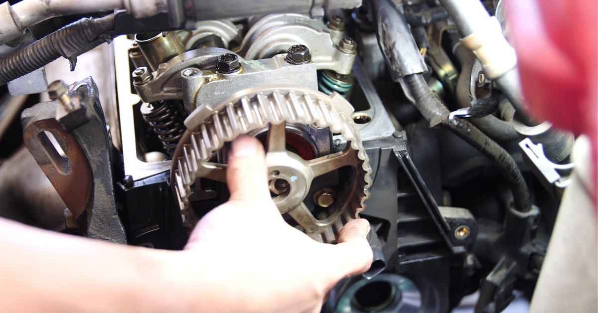 Sitemapcdatahttpthereferenznetcost Of Timing Belt Change Honda Civicnull