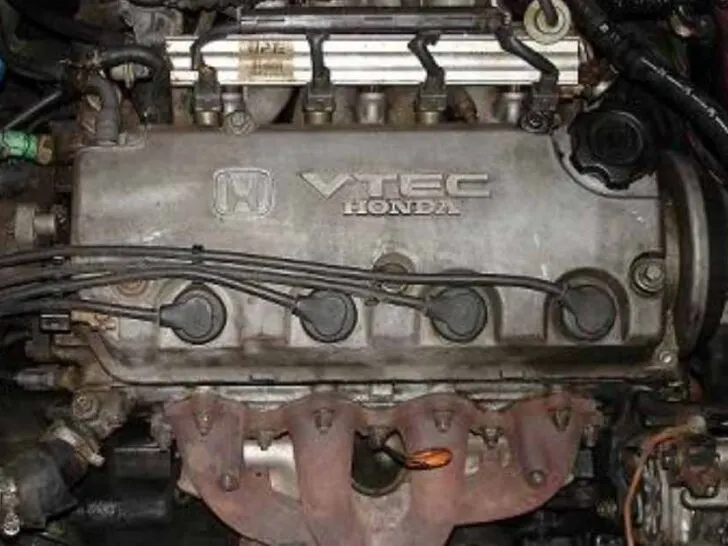 What is the Firing Order on D16Y7 Engine?