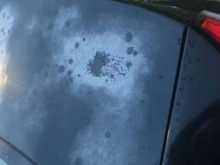 Tesla Model 3 Paint Issues