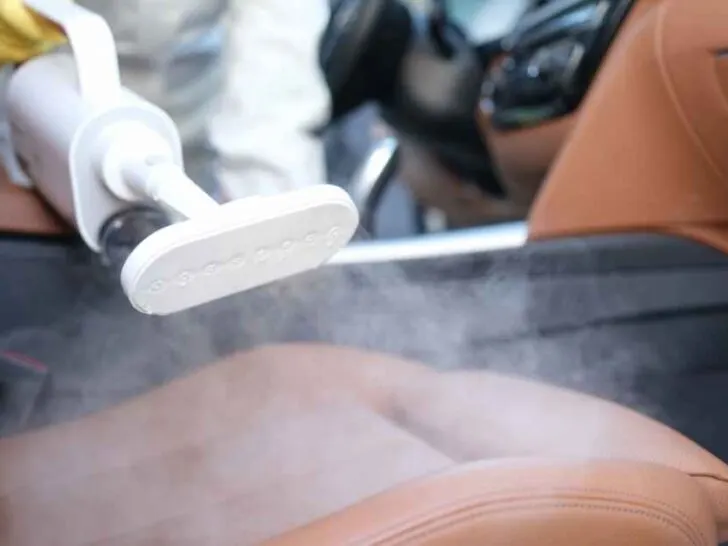 How to Get Urine Smell Out of Leather Car Seats?