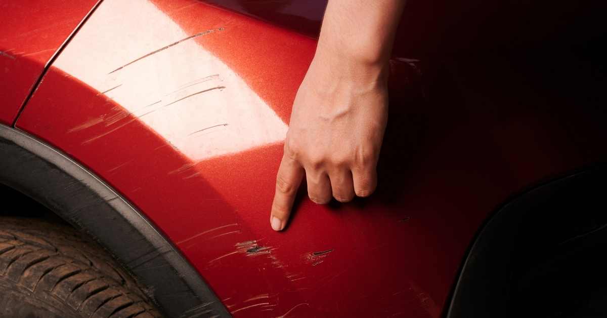 How to Remove Dog Scratches From Car Door? (Explained)