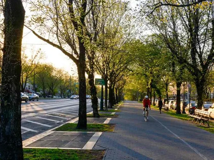 Are Pickup Trucks Allowed On Parkways?