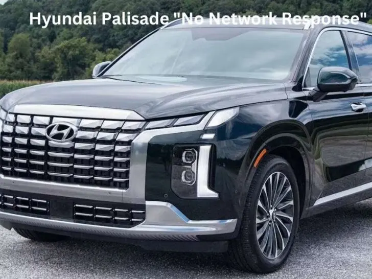 Hyundai Palisade &ldquo;No Network Response&rdquo;